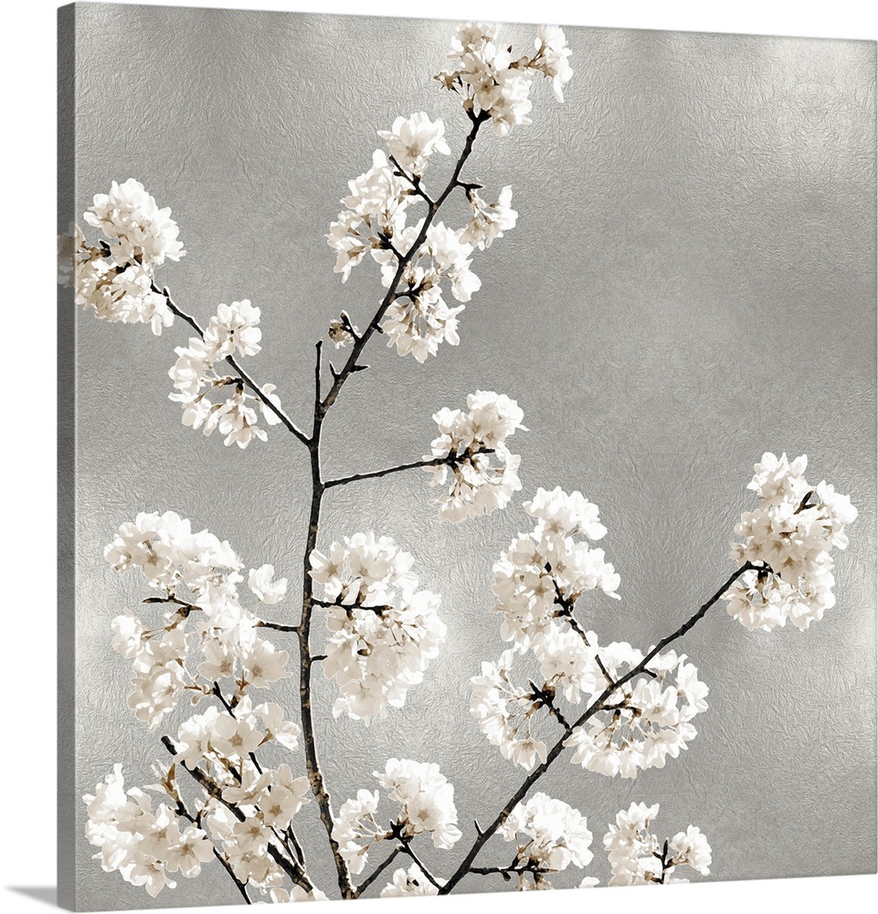 Silver Blossoms I