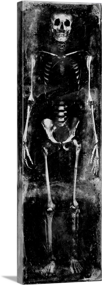 Tall panel illustration of a skeleton in black and white.