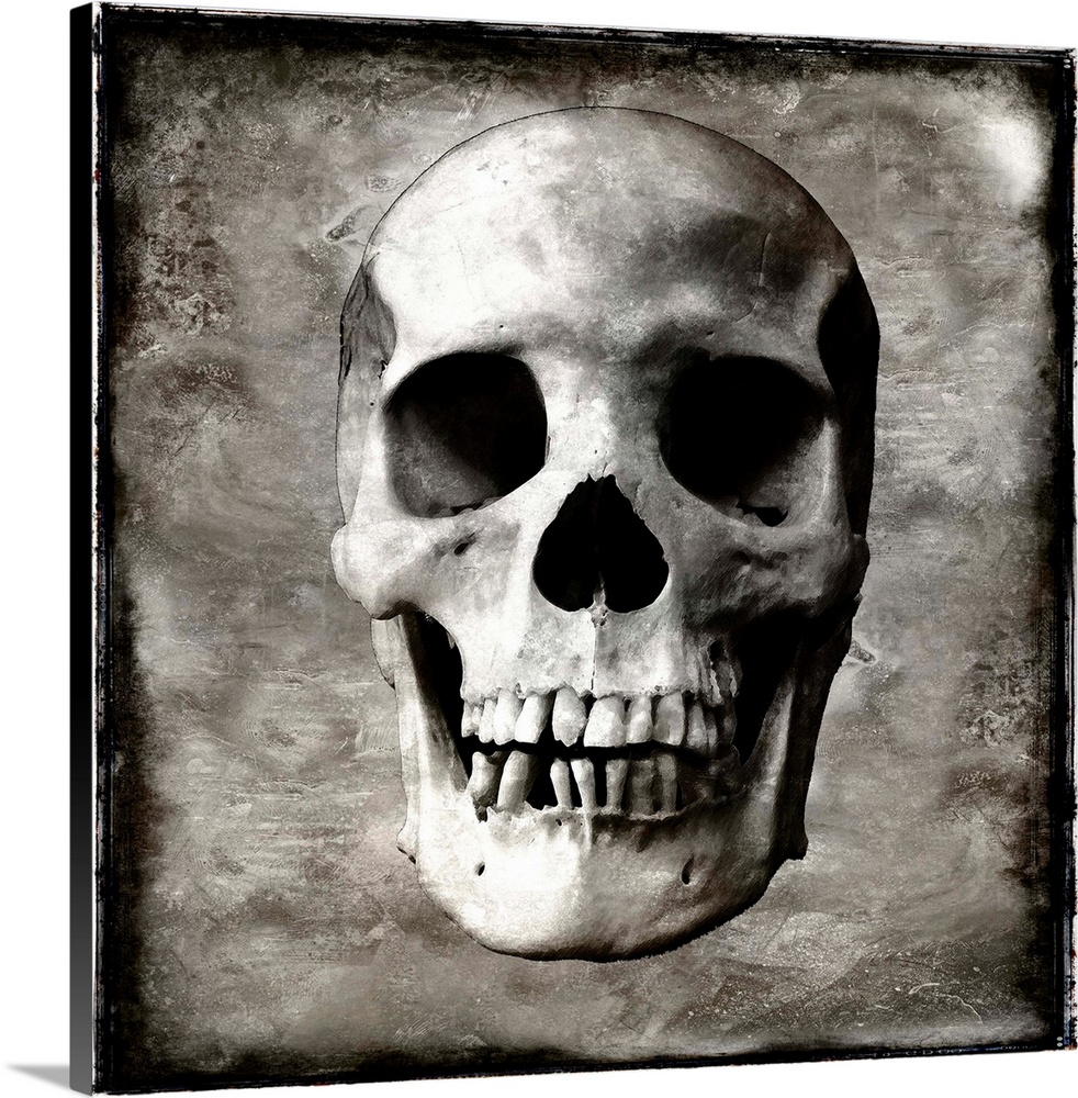 Square illustration of a skull with a weathered background in silver, white, and black.