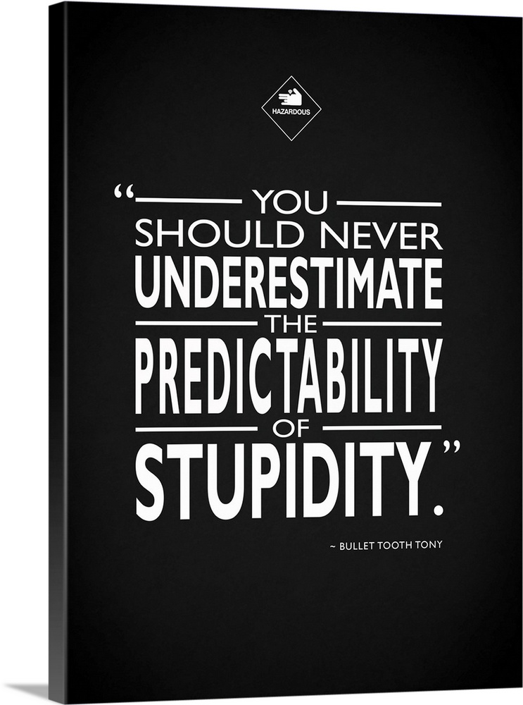"You should never underestimate the predictability of stupidity." -Bullet Tooth Tony