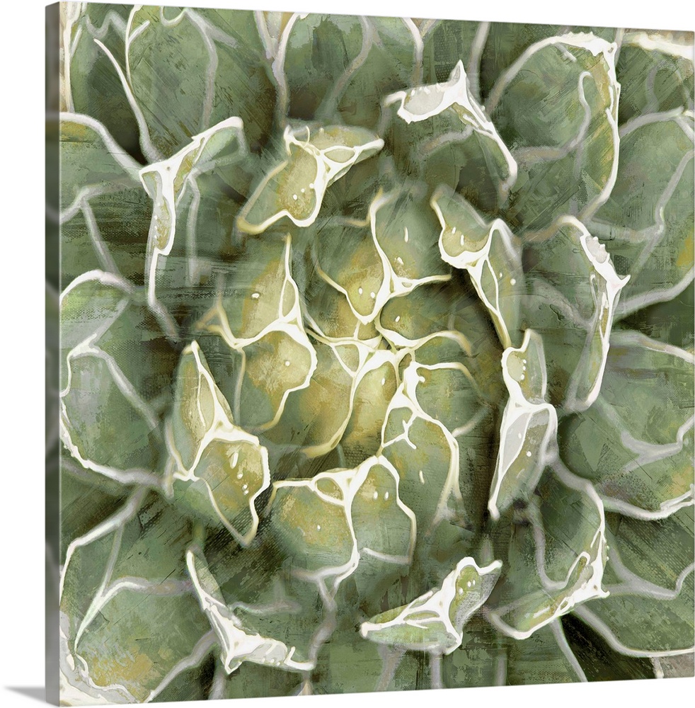 Square illustration of a succulent plant on a textured background.