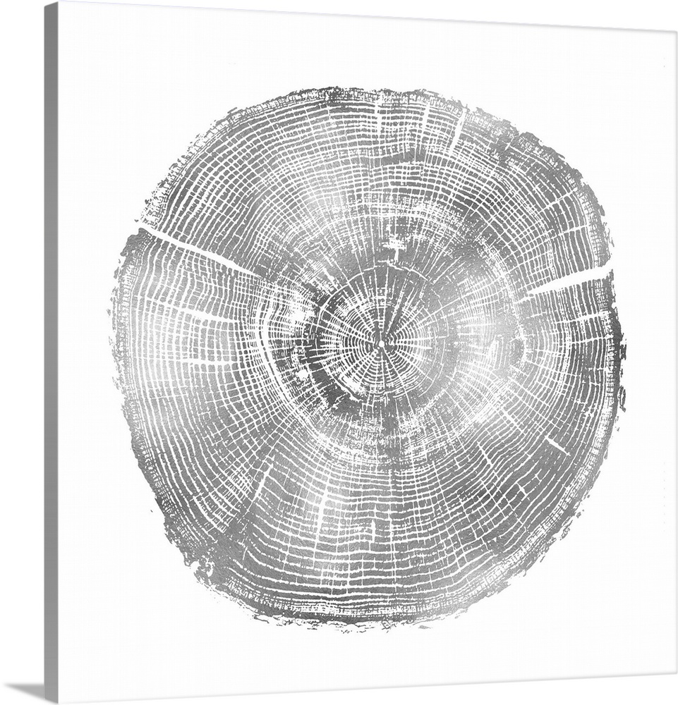 Square decor with tree stump rings in silver and white.