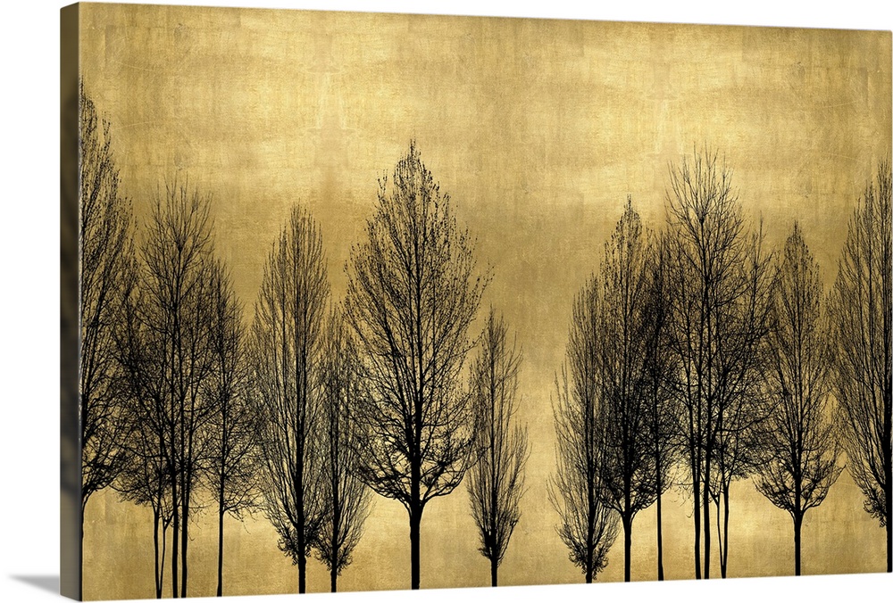 Decorative artwork featuring a black silhouette of leafless trees over a distressed background