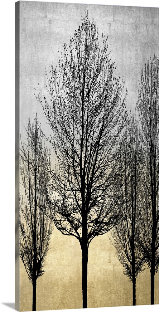 Decorative artwork featuring a black silhouette of leafless trees over a distressed background.