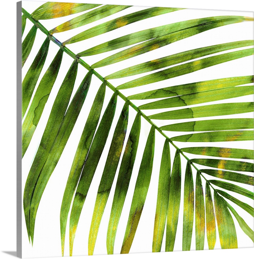 Square decor with a green and yellow silhouette of a palm leaf on a solid white background.