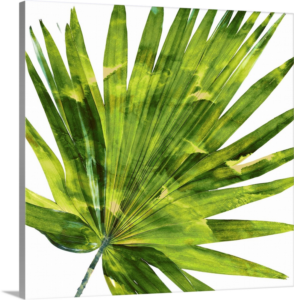 Square decor with a green and yellow silhouette of a palm leaf on a solid white background.