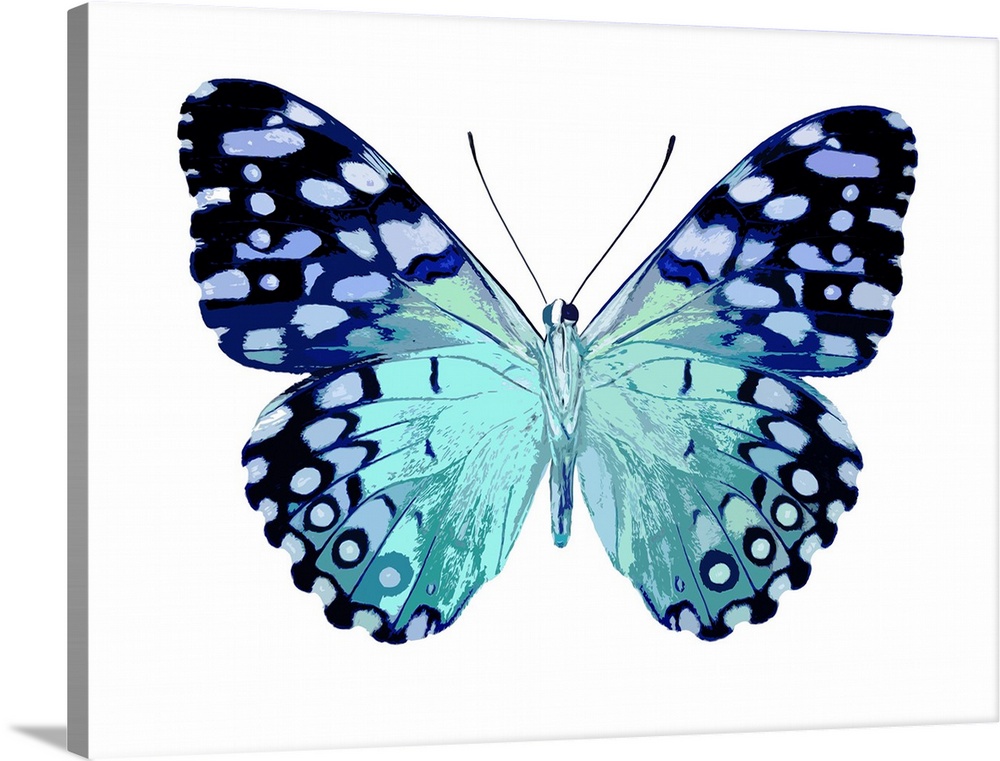 Illustration of a butterfly in shades of blue on a white background.