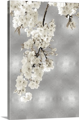 White Blossoms on Silver II
