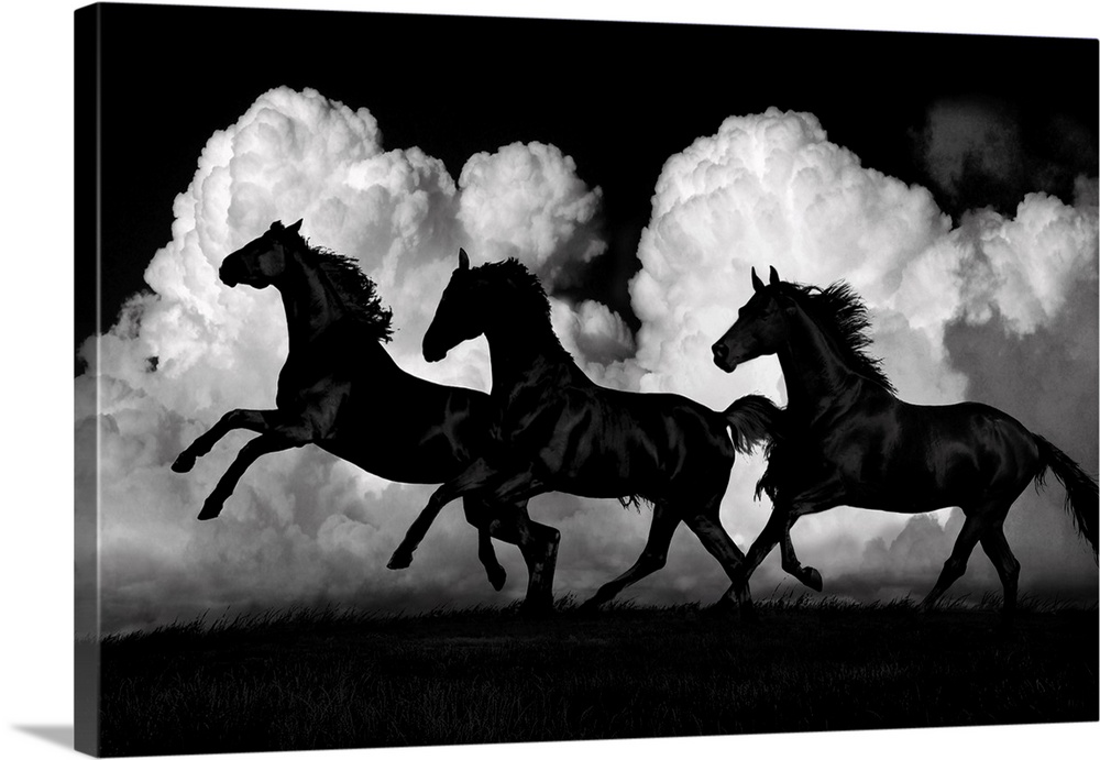Photo of black horses galloping on a windy day against white puffy clouds.