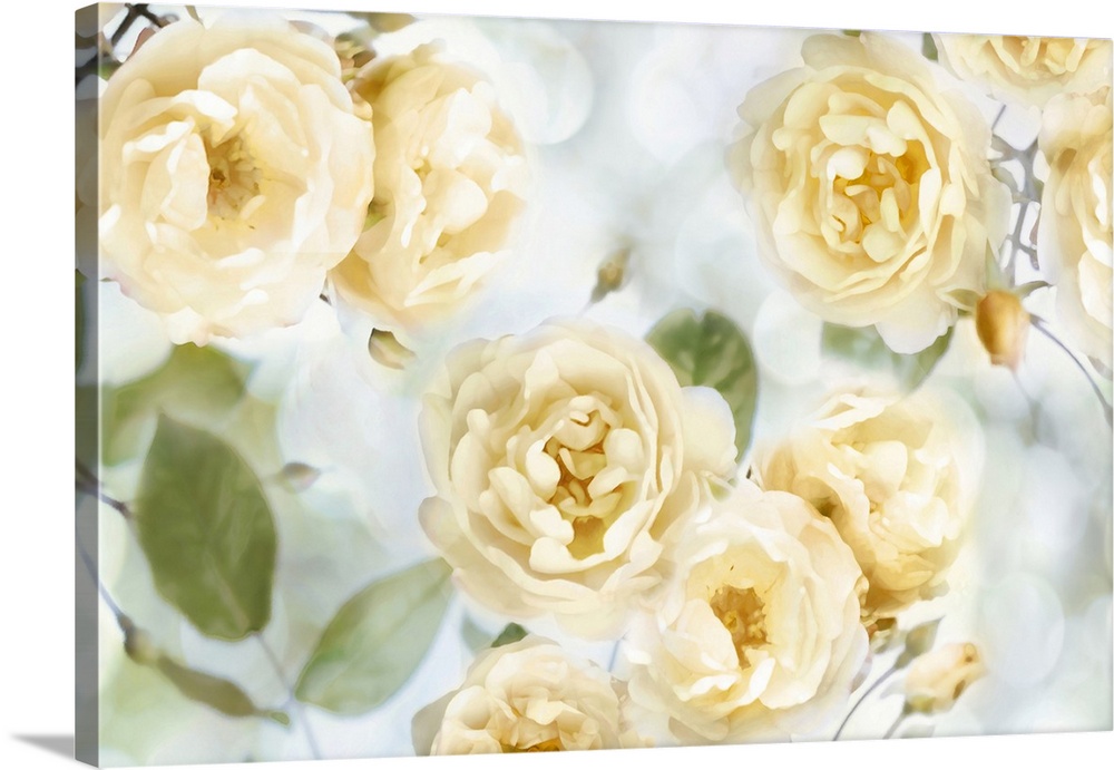 Decorative artwork featuring soft yellow flowers over a bokeh background.