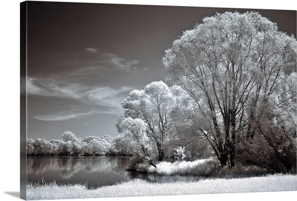 An infrared photograph of a tranquil landscape of a lake surrounded by large trees.