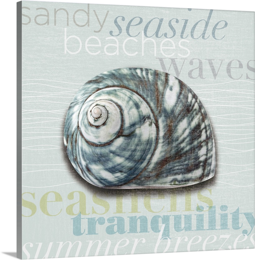 Decorative artwork of a sea shell against a light blue background with beach theme words.