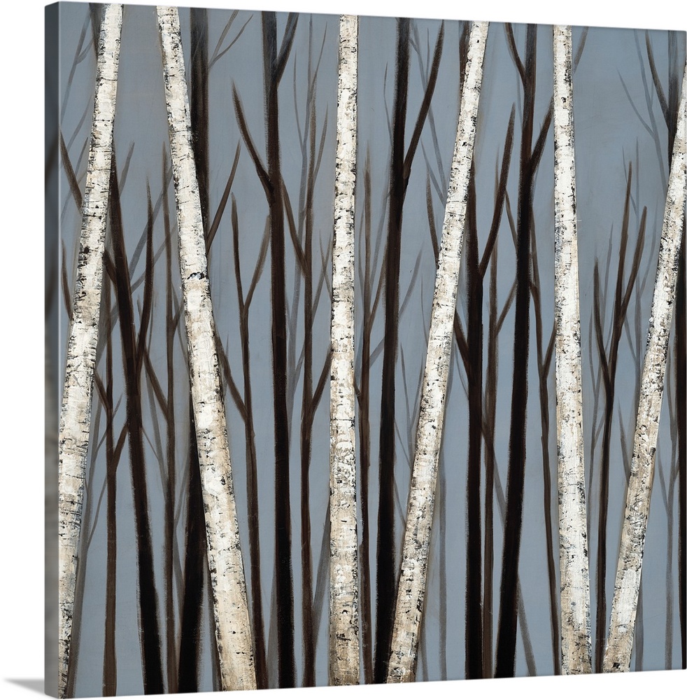 A square painting of a forest of birch trees with shadows of darker trees in the background.