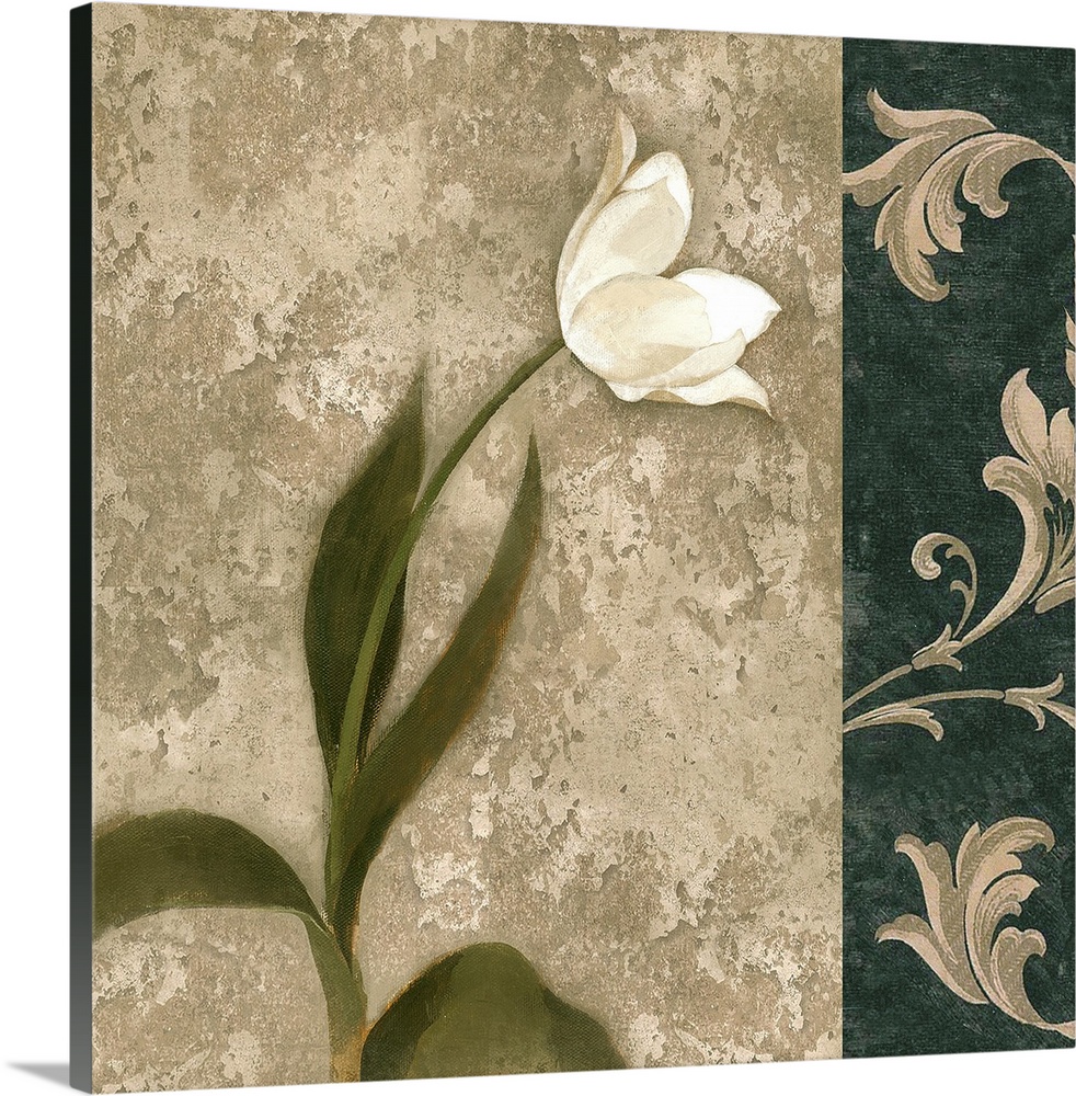 Decorative artwork of a white tulip with a damask border in natural colors.