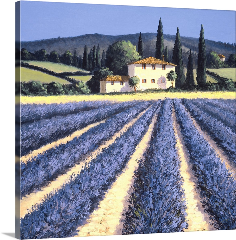 Contemporary artwork of lavender fields in the countryside.