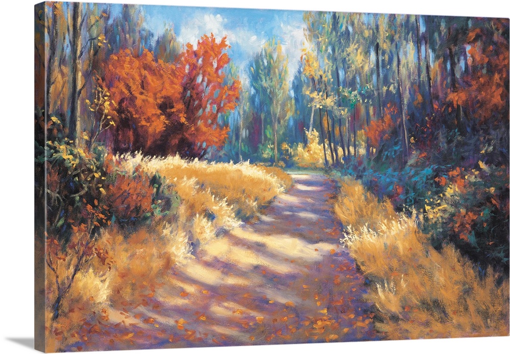 A horizontal landscape of a wooded trail in the fall, displaying colorful leaves in red and yellow.
