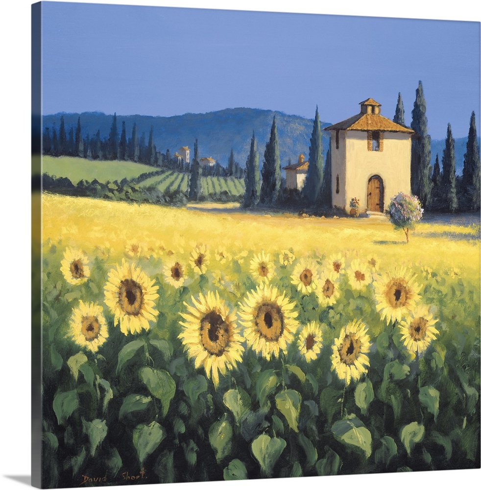 Painting of a field of sunflowers near a farm house in Tuscany.