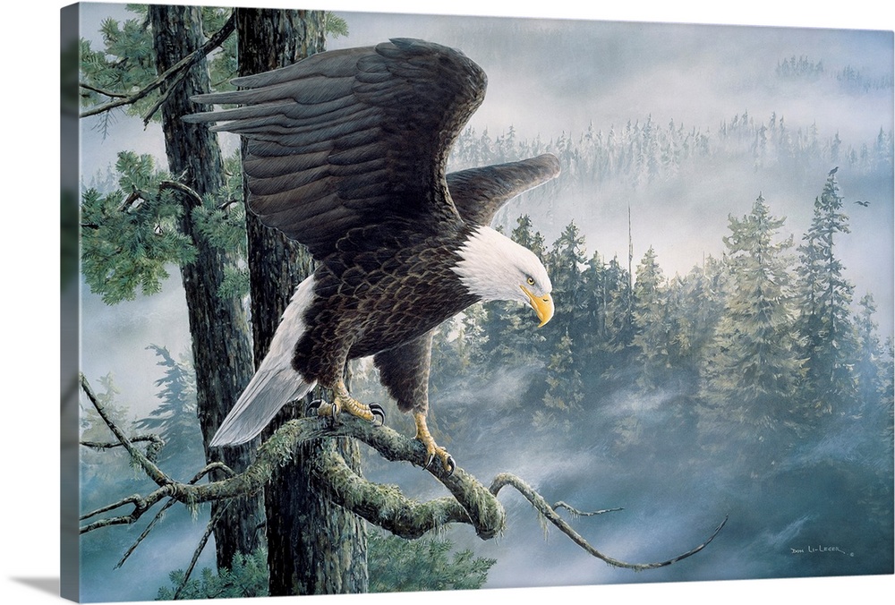 A contemporary painting of a bald eagle perched on a branch, getting ready to take flight, with a mist cover forest behind.