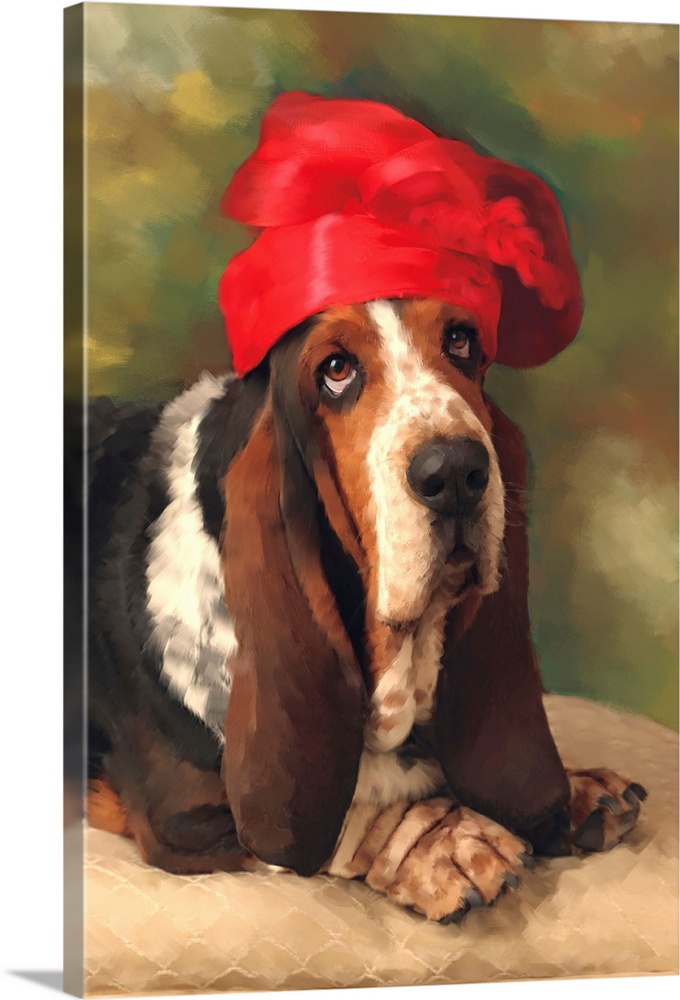 A portrait of a bassinet hound with a red chef hat on his head.