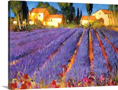 Late Afternoon, Lavender Fields