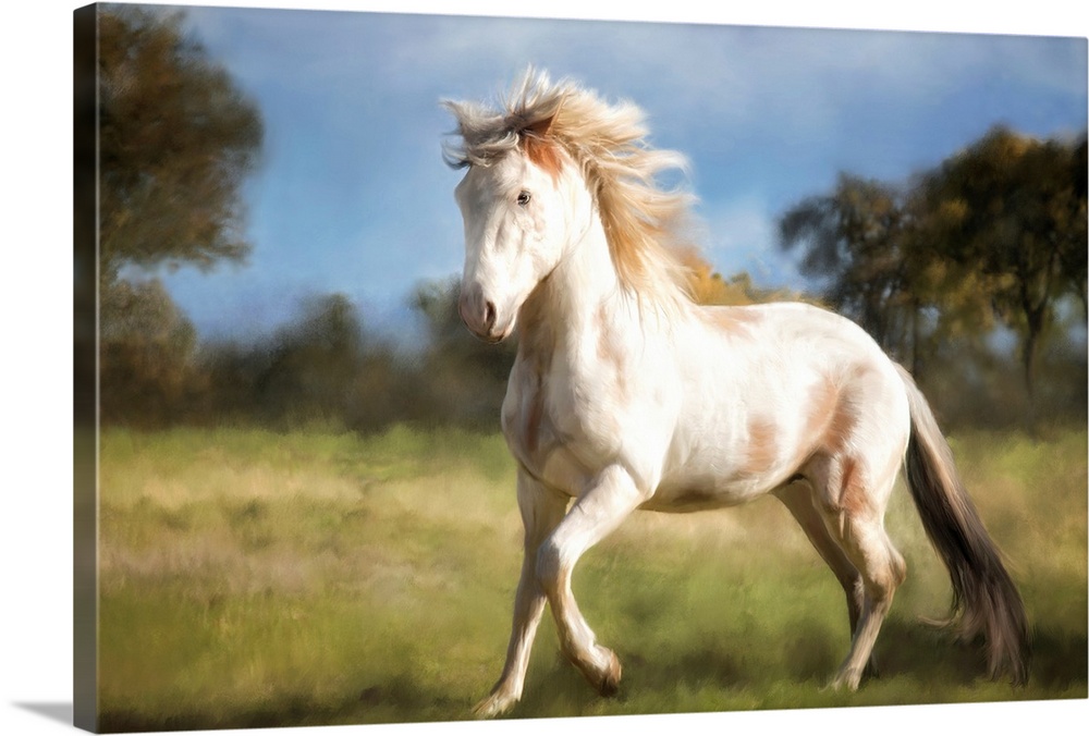 An image of a white horse trotting through a grassy field.