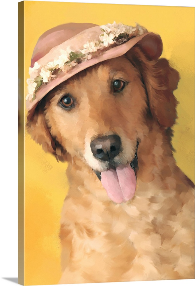 A portrait of a dog with a hat on her head.