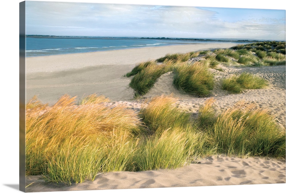 Photograph of beach with grass covered dunes, on a cloudy day.