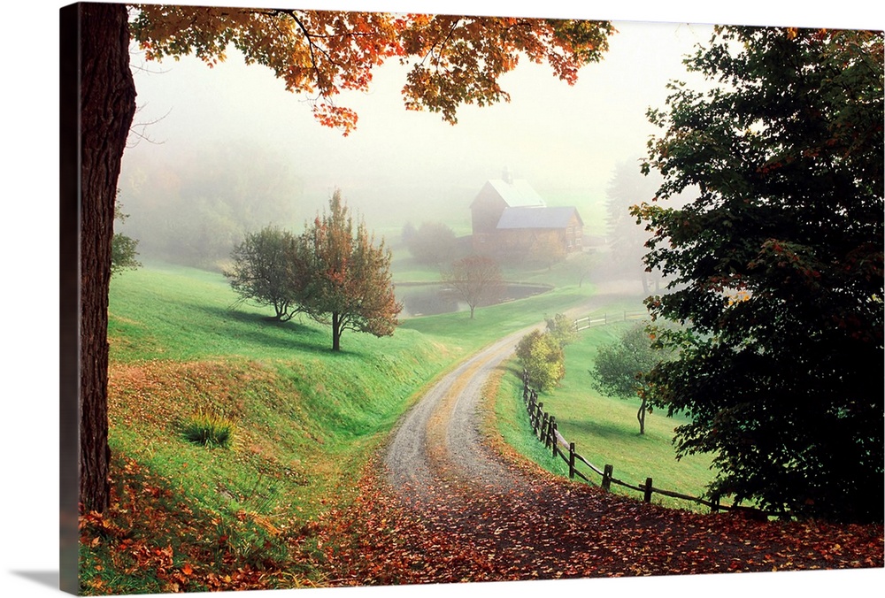 A tranquil setting of a country road leading to a farm in the misty morning.