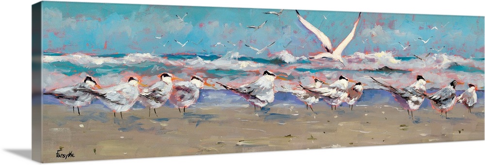 A panoramic landscape of a beach scene with a group of seagulls along the shoreline while the ocean waves hit land.