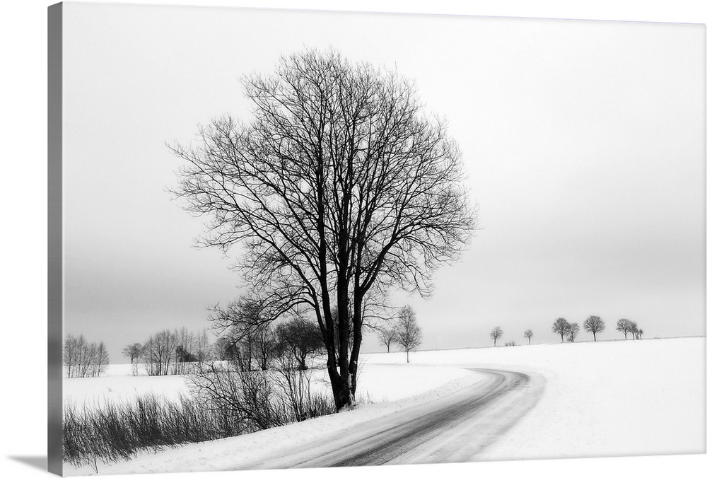 A black and white photograph of a snowy country scene of a  tree next to a road.