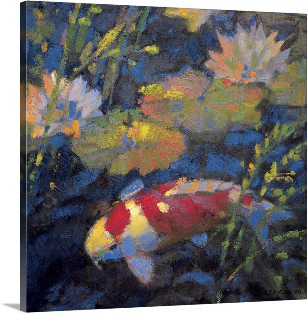 Contemporary painting of a koi fish swimming under waterlilies.