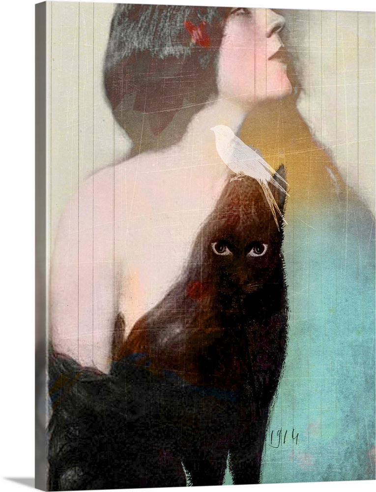 A composite image of a woman with long black hair and a black cat with a white bird on it's head.