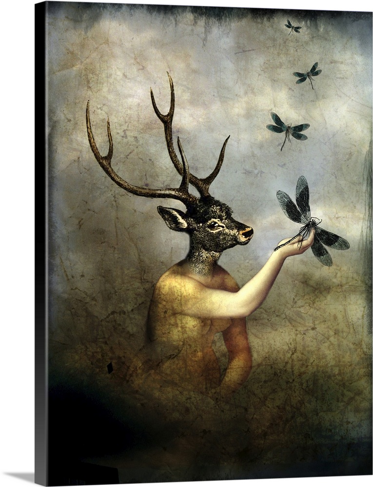 A creature that is half nude woman and half deer with antlers, reaching out towards a dragonfly.