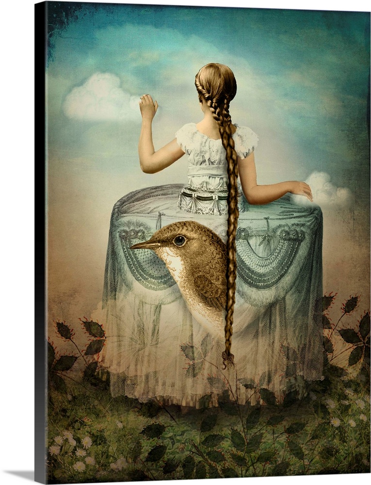 A lady with a long braid is in a Victorian dress which has a large bird and flowers on it.