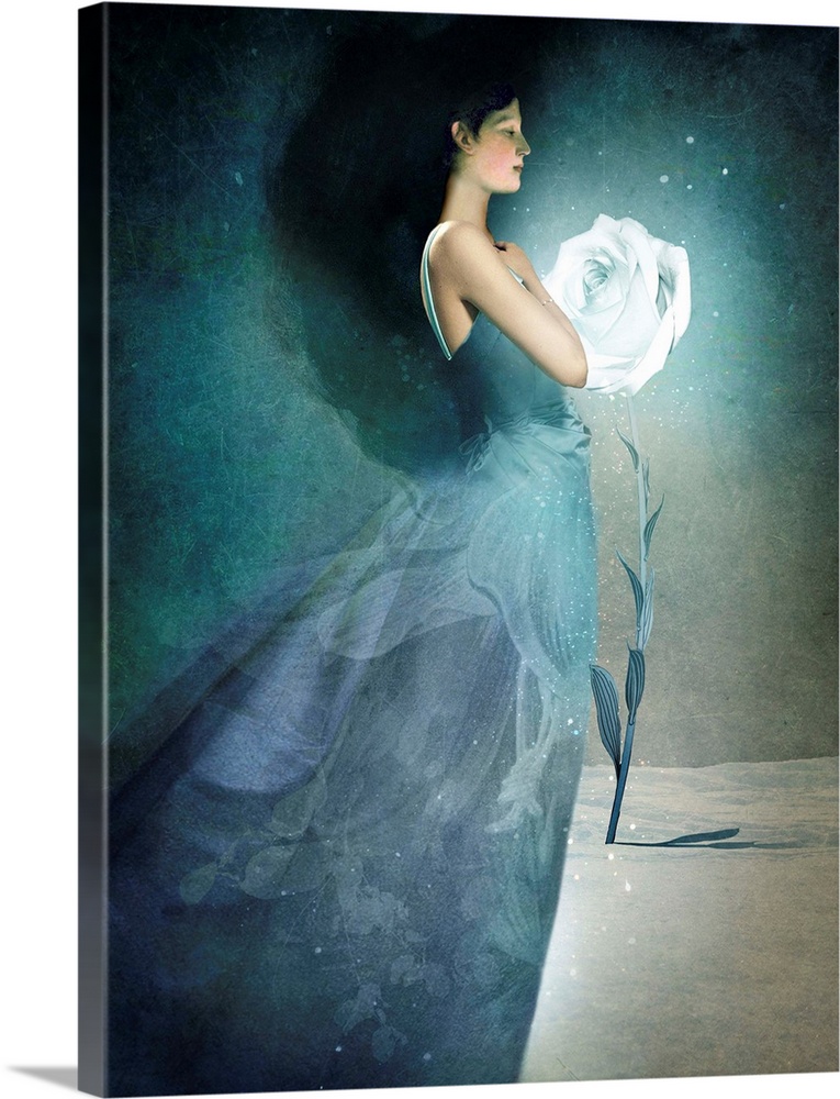A portrait of a young lady in a blue dress next to a white rose surrounded by stars.