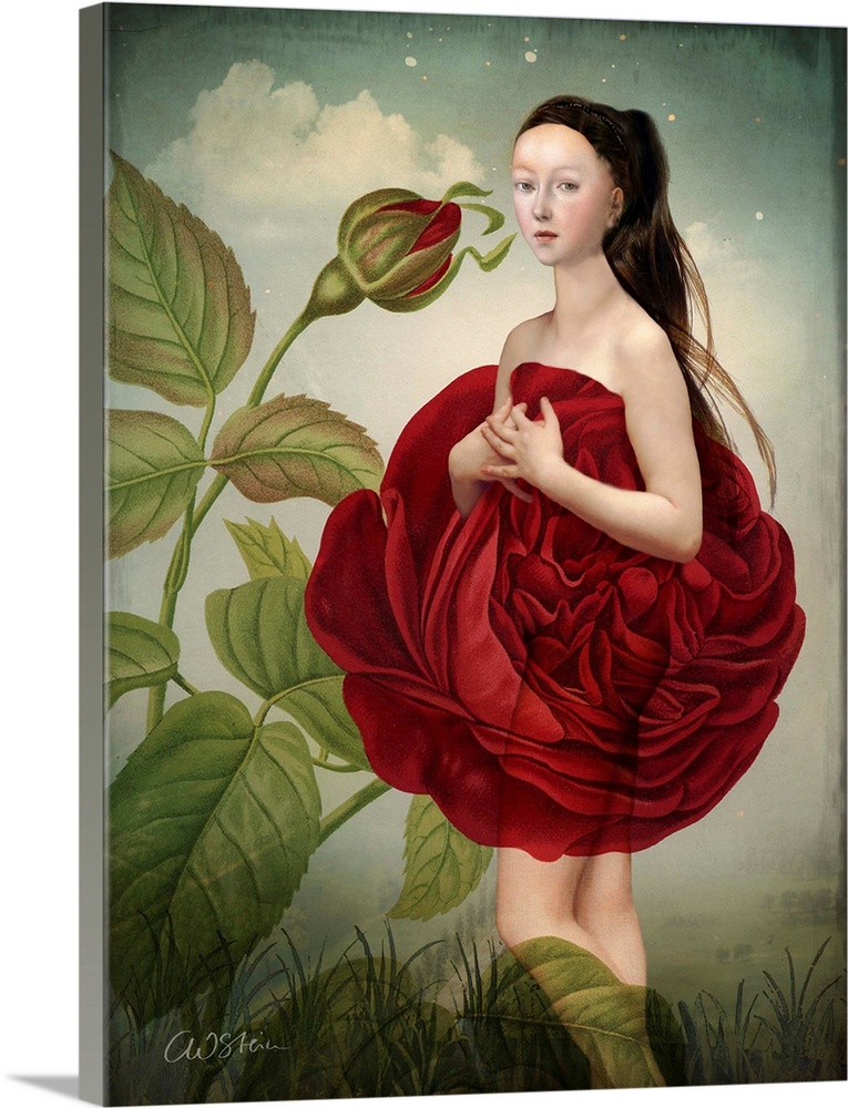 A nude lady in the garden is covered by a large red rose.