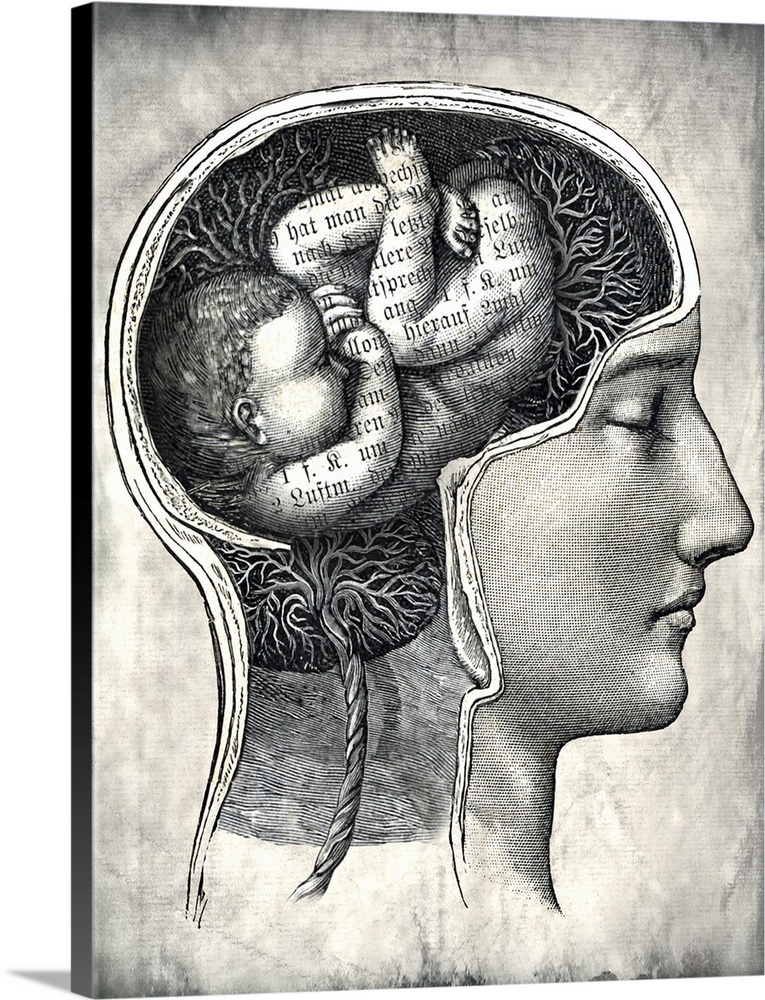 A drawing of the profile of a person's head with an infant inside it, with words overlapping.