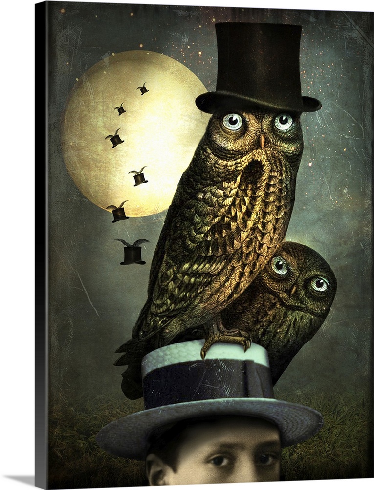 An abstract composite of two owls perked on top of a hat with flying top hats in the moonlight.