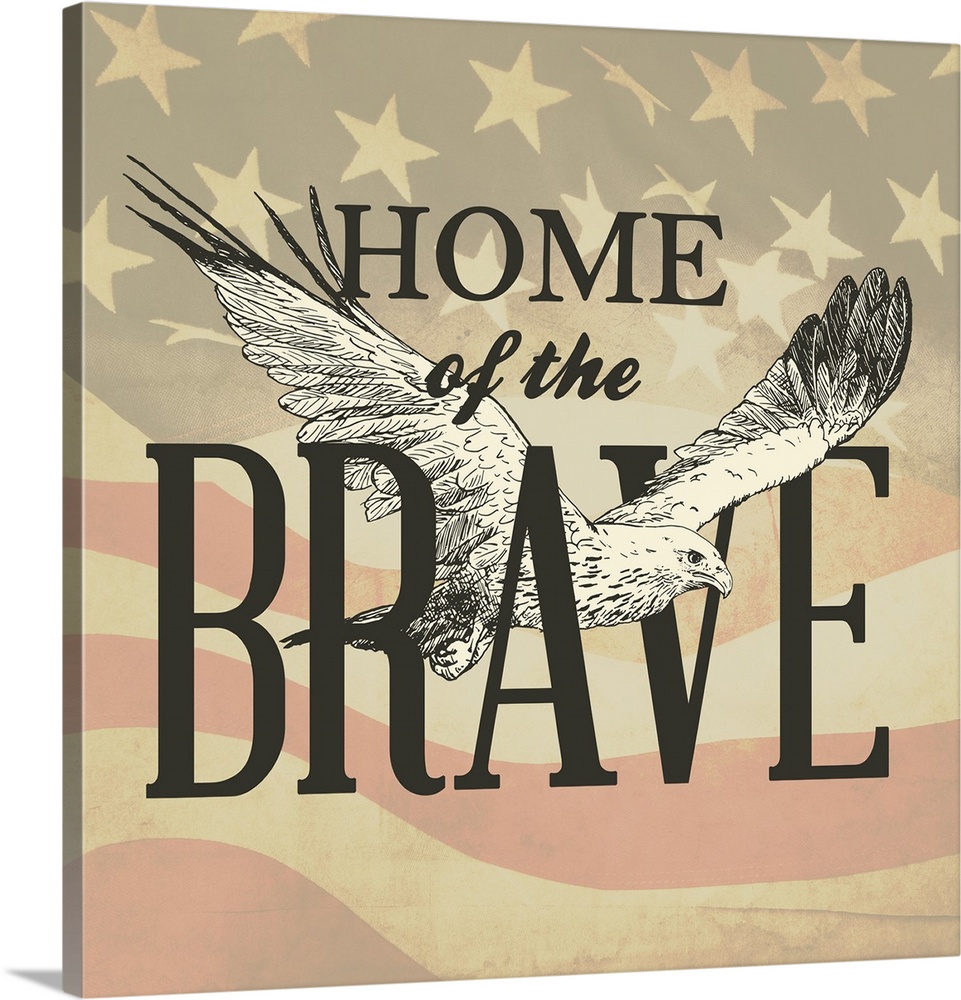 "Home of the Brave" written in black with an illustration of an eagle flying though it, all on a sepia toned American flag...