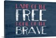 image thumbnail of "Land of the Free Home of the Brave" written in red and white on a blue background.
