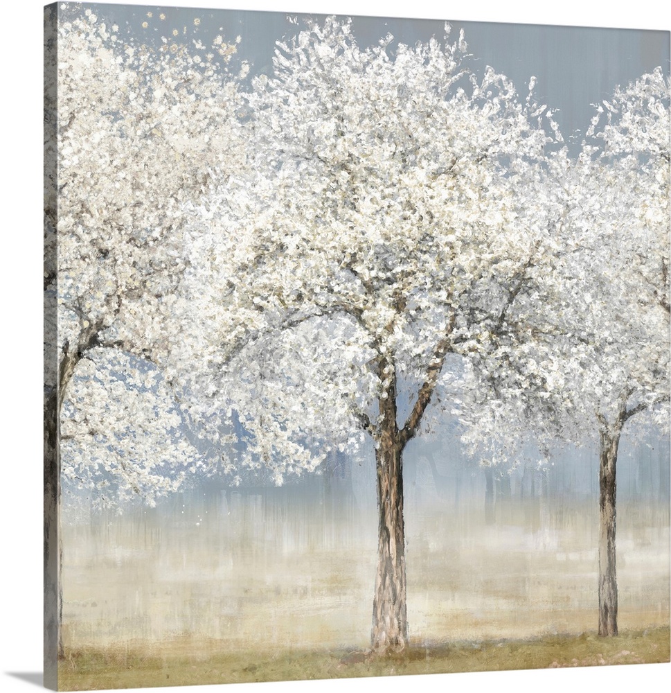 A contemporary painting of a small stand of trees covered in white spring blossoms. The trees stand out because the backgr...