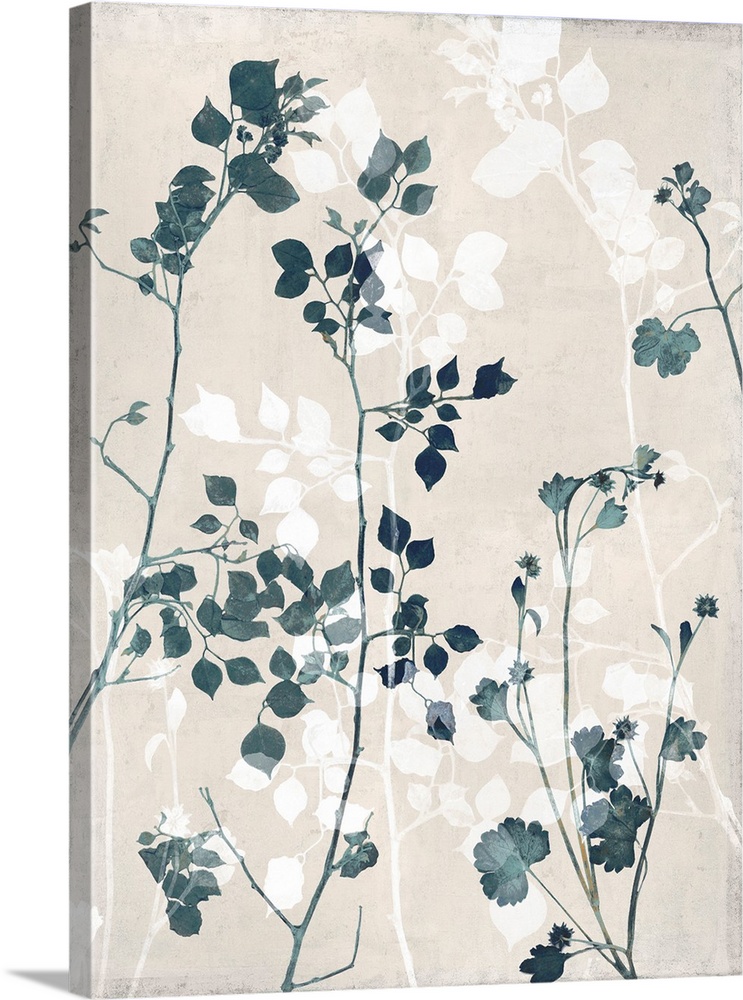 Branches And Blue Leaves