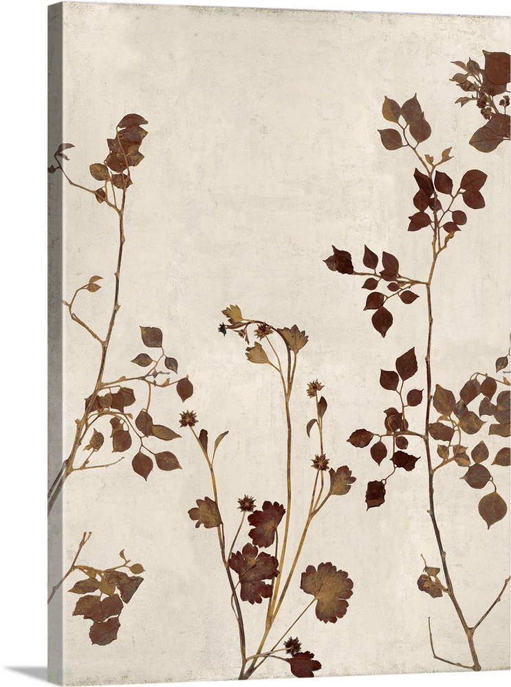 Branches And Brown Leaves