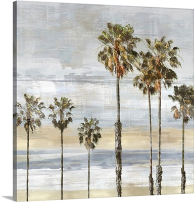 Cali Palms Texture II