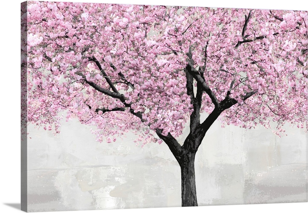 Cherry Blossoms Tree Blush