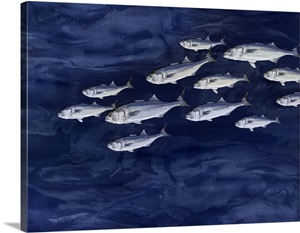 Fish On Indigo image thumbnail