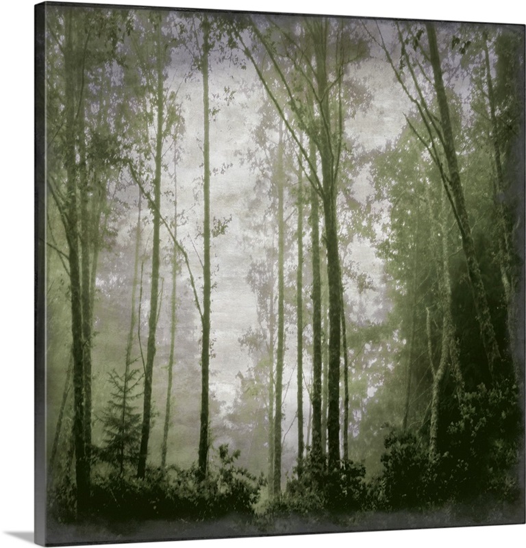 Forest Green Wall Art, Canvas Prints, Framed Prints, Wall Peels Great