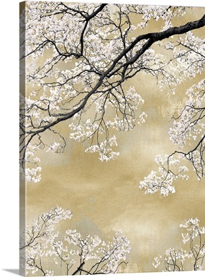 Gold Blossom Tree