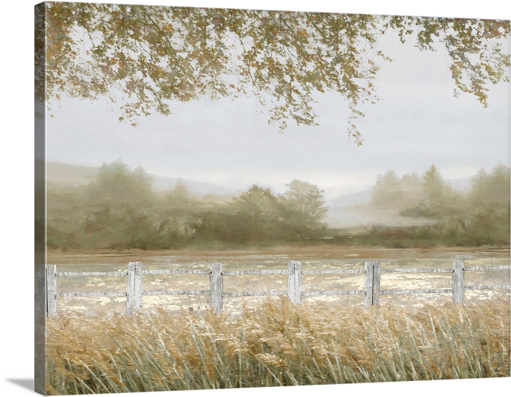 Mist Over The Fence II