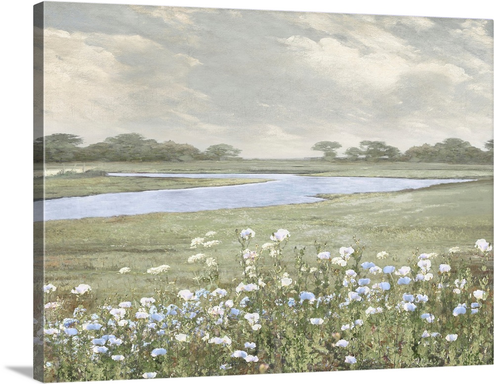 Open Field And Spring Flowers